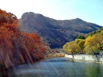 澳门二四六天天免费好材料，都市完本小说排行榜